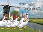kippen polonaise wijn